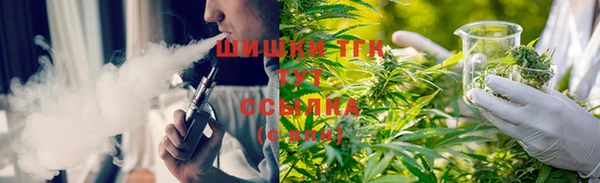 шишки Арсеньев