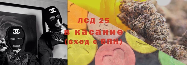 шишки Арсеньев