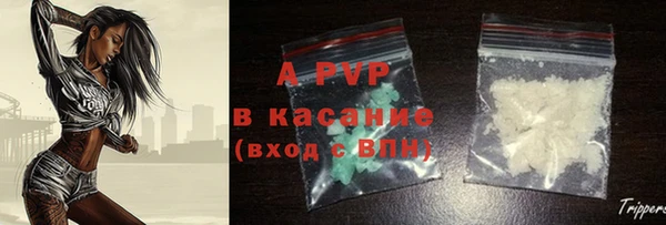 шишки Арсеньев