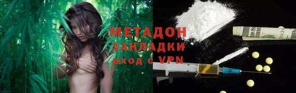 шишки Арсеньев