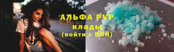 шишки Арсеньев