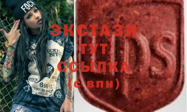 шишки Арсеньев