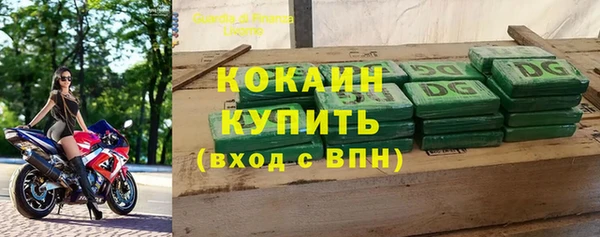 шишки Арсеньев
