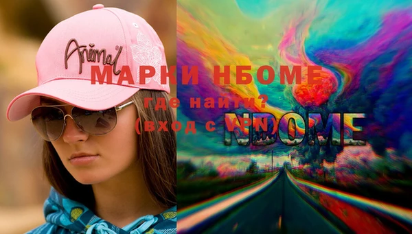 шишки Арсеньев