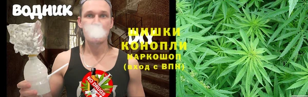 дмт Аша