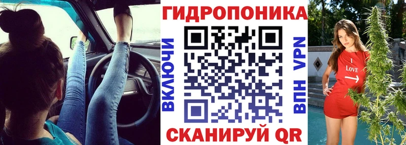 закладка  Верхняя Салда  Каннабис индика 